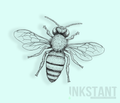 Honey Bee